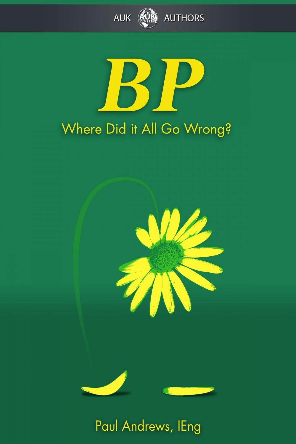 Big bigCover of BP - Where Did it All Go Wrong?