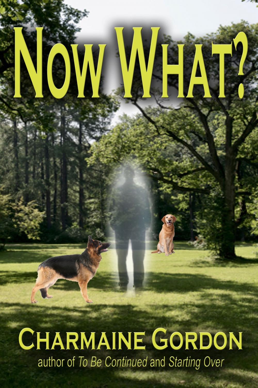 Big bigCover of Now What?