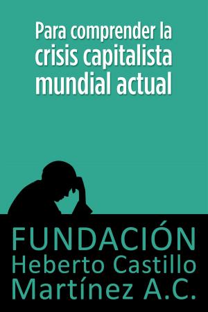 Cover of the book Para comprender la crisis capitalista mundial actual by Fundación Heberto Castillo Martínez AC, Luis Villoro