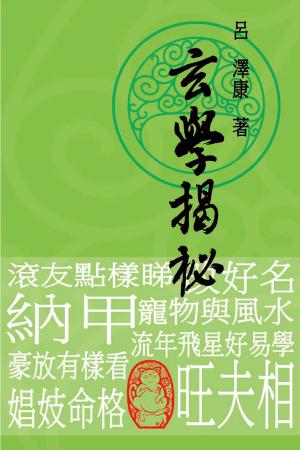 Cover of 玄學揭秘
