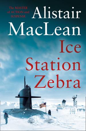 Book cover of Ice Station Zebra
