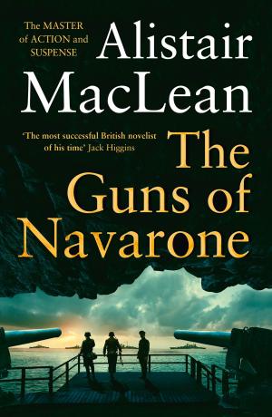 Cover of the book The Guns of Navarone by Antony J. Haynes, Antoinette Savill