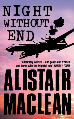 Book cover of Night Without End