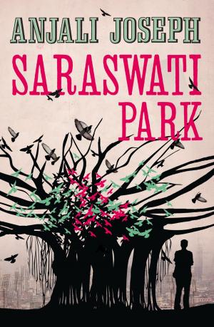 Cover of the book Saraswati Park by Erin Kaye