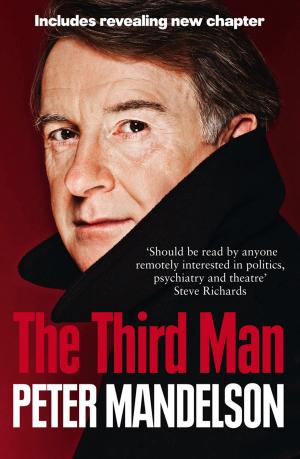 bigCover of the book The Third Man: Life at the Heart of New Labour by 