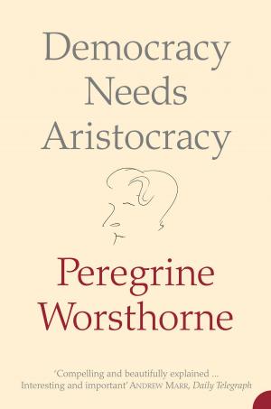 Cover of the book Democracy Needs Aristocracy by Virginia Moffatt