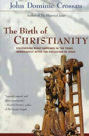 Book cover of The Birth of Christianity