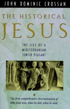 Book cover of The Historical Jesus