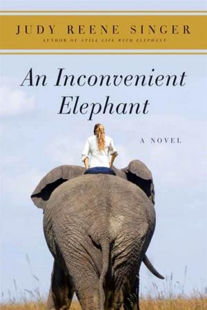Cover of the book An Inconvenient Elephant by Meg Cabot