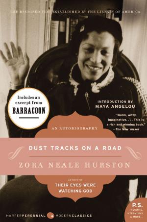 Cover of the book Dust Tracks on a Road by Wayne Luckmann