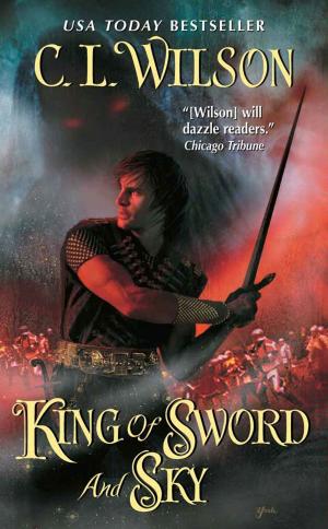 Cover of the book King of Sword and Sky by Simon Van Booy