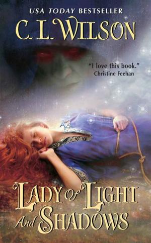 Cover of the book Lady of Light and Shadows by Antoinette May