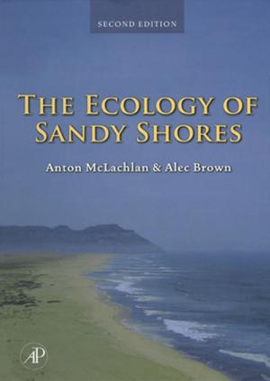 Cover of the book The Ecology of Sandy Shores by Thomas Strothotte, Stefan Schlechtweg