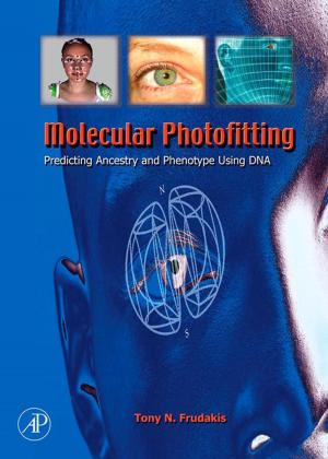 Cover of the book Molecular Photofitting by Peter R. Massopust