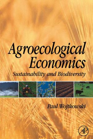 Cover of the book Agroecological Economics by Nicolas Baghdadi, Mehrez Zribi