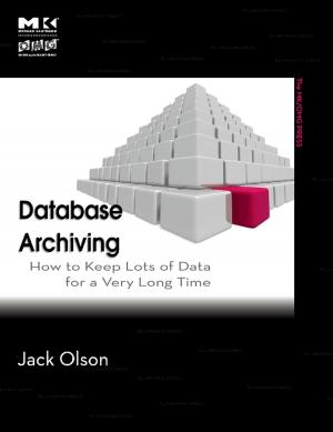 Cover of the book Database Archiving by Paul Filippi, Aime Bergassoli, Dominique Habault, Jean Pierre Lefebvre