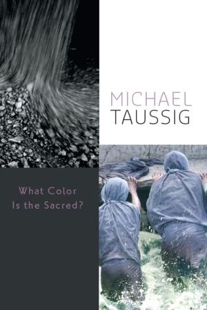 Cover of the book What Color Is the Sacred? by Jason Orne