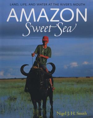 Cover of the book Amazon Sweet Sea by Ben M. Crouch, James R. Marquart