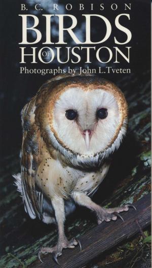Cover of the book Birds of Houston by Michael Frary, William A. Owens