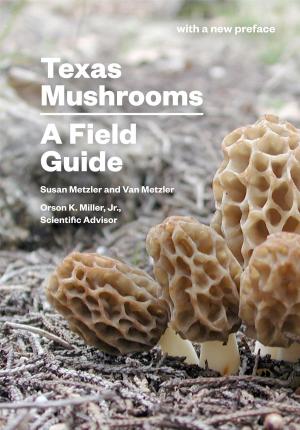 Cover of the book Texas Mushrooms by Américo Paredes