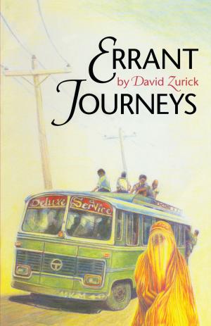 Book cover of Errant Journeys