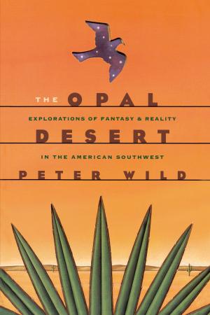 Cover of the book The Opal Desert by John C. Abbott