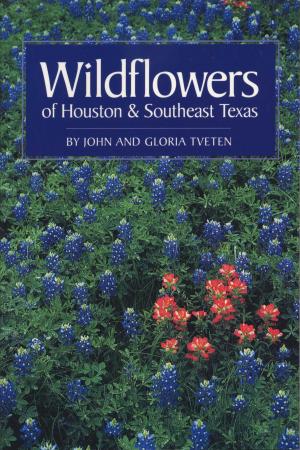 Cover of the book Wildflowers of Houston and Southeast Texas by Rhoda H. Halperin