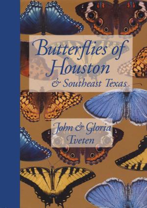 Cover of the book Butterflies of Houston and Southeast Texas by Juliane Hammer