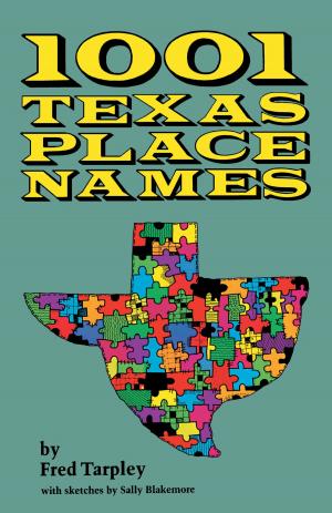 Cover of the book 1001 Texas Place Names by Kendall R. Phillips