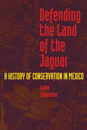 Cover of the book Defending the Land of the Jaguar by Isabelle Meiring