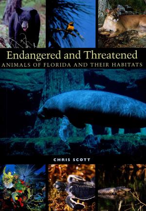 Cover of the book Endangered and Threatened Animals of Florida and Their Habitats by 