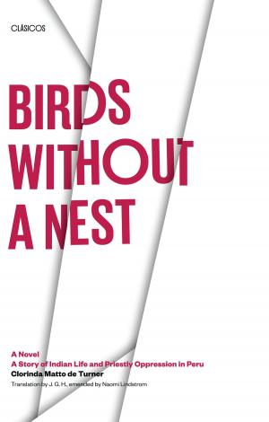 Book cover of Birds without a Nest