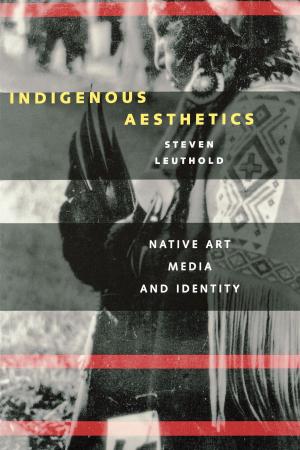 Cover of the book Indigenous Aesthetics by Eric Gary Anderson