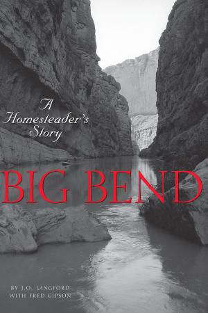 Cover of the book Big Bend by Jan Baetens