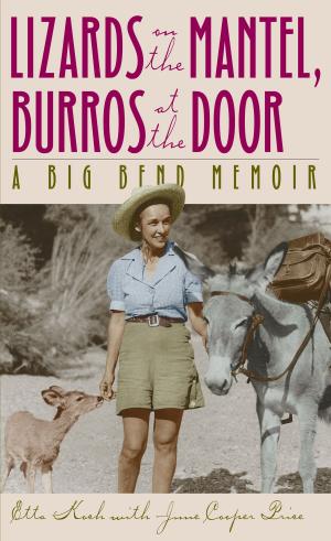 Cover of the book Lizards on the Mantel, Burros at the Door by Laurence C. Walker