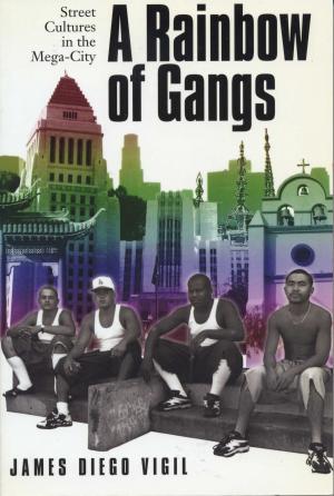 Cover of the book A Rainbow of Gangs by Robert Wauchope
