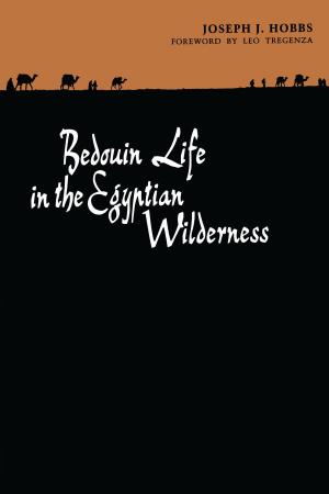 Cover of the book Bedouin Life in the Egyptian Wilderness by R. John Rath