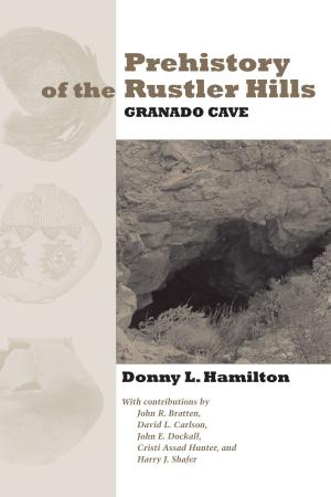 Book cover of Prehistory of the Rustler Hills