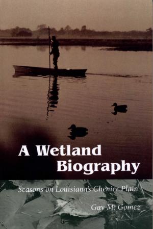 Cover of the book A Wetland Biography by Anne Clark