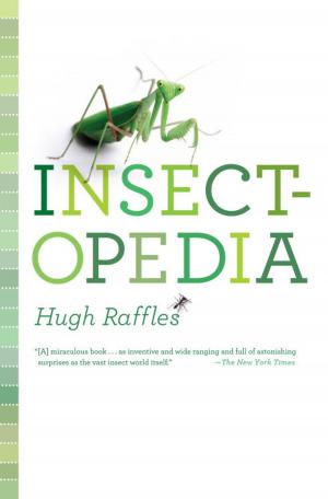 bigCover of the book Insectopedia by 