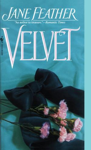 Cover of the book Velvet by Lavinia Kent