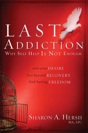 Book cover of The Last Addiction