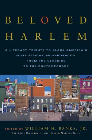 bigCover of the book Beloved Harlem by 
