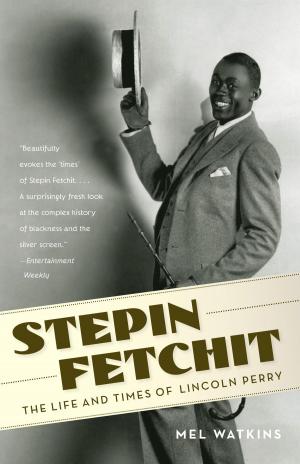 Cover of the book Stepin Fetchit by Robert Hughes