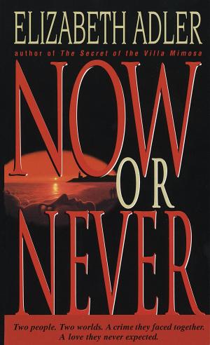 Cover of the book Now or Never by Daniel Goleman
