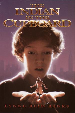 Book cover of The Indian in the Cupboard
