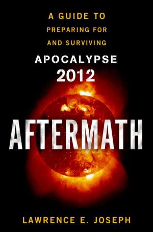 Cover of the book Aftermath by D Cecchini