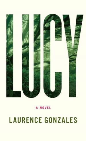 Cover of the book Lucy by John Updike