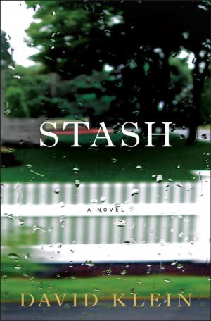 Cover of the book Stash by Evan Bond