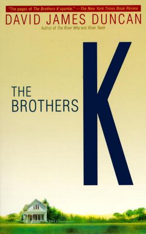 Cover of the book The Brothers K by Daniel P. Bolger